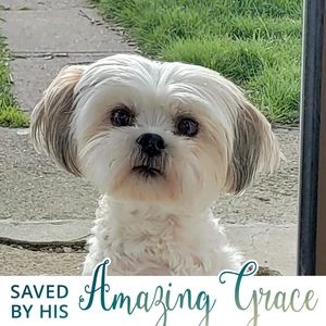 Meet your Posher, Deborah